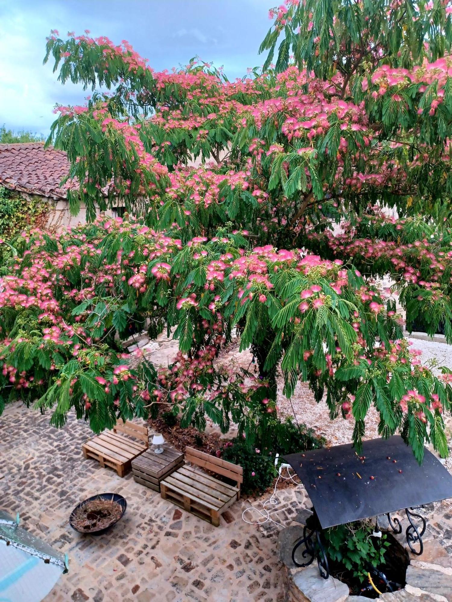 Domaine Du Conte Bleu Bed and Breakfast Sainte-Gemme  Buitenkant foto